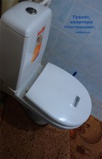 56-tualet-chistenkaya