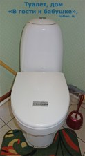 67-tualet-k-babushke
