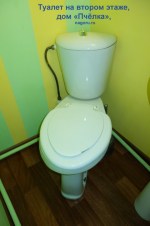 74-tualet2-pchelka